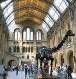 Natural History Museum South Kensington London